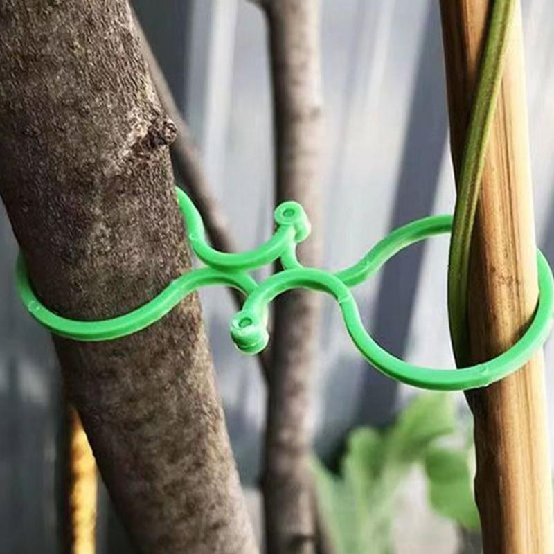 8-Shaped Buckle Vine Holder Clips 50/100pcs  Plant Holder Cucumber Vine Stand Clips For Climbing Plants Stem Support Garden Tool