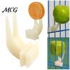 Bird Feeding Fork Food Feeder for Cage, Parrots Cage Holder Fruit Pet Accessory Fork, Vegetable Tool Forks Cockatoos Treats Enrichment