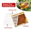 Queen Bee Queen Rearing Cultivating Box Kit 120Pcs Brown Raising Cups 1Pc Plastic Protection Cover Rearing Box Bee Hive Fittings