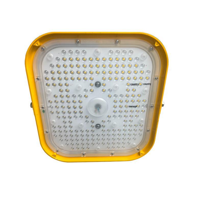 SEVA Explosion-Proof LED Flood Work Light