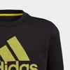 Adidas Pre School Sweatshirts Crew Neck Thickened FL2831