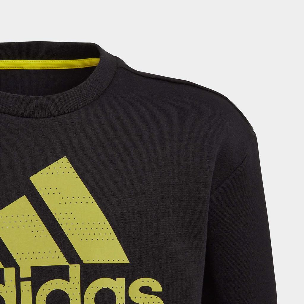 Adidas Pre School Sweatshirts Crew Neck Thickened FL2831