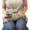 SUN LEMON Knee Cat Plush Small Gray Toy, Size,