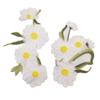 Daisy Clothing Applique Exquisite Clothes Patches Flower Embroidered Patches  Sewing