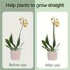 20pcs Green Flexible Plant Support Sticks For Orchids Peonies Roses Potted Flowers Heavy-Duty Plastic Metal Fiber Plant Stands