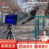 Weizhi AI Fitness Assessment & Training Equipment