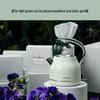 Buydeem K203 1.2L Stainless Steel Electric Kettle CN plug (adapter included)