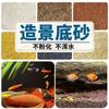 Pești și animale marine – Decorul acvariului