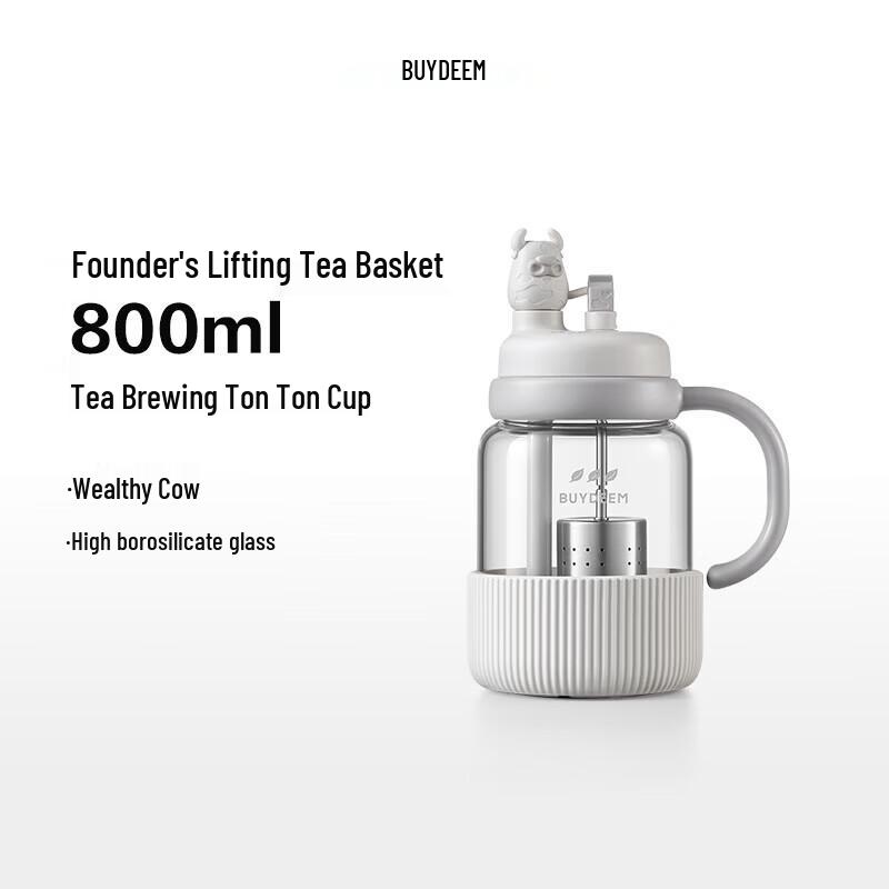 Buydeem Tea Infuser Glass Bottle with Straw