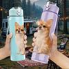 1PC Cute Chihuahua Sitting Print 750ml Color Plastic Sports Water Bottle Leakproof Flip Straw Lid Suitable for Sports Office Home Use