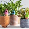 Clay Water Spikes Ice Cream Shape Stakes Irrigation 4X Clay Garden Waterers Auto-Water Irrigation System Keep Plants Happy And
