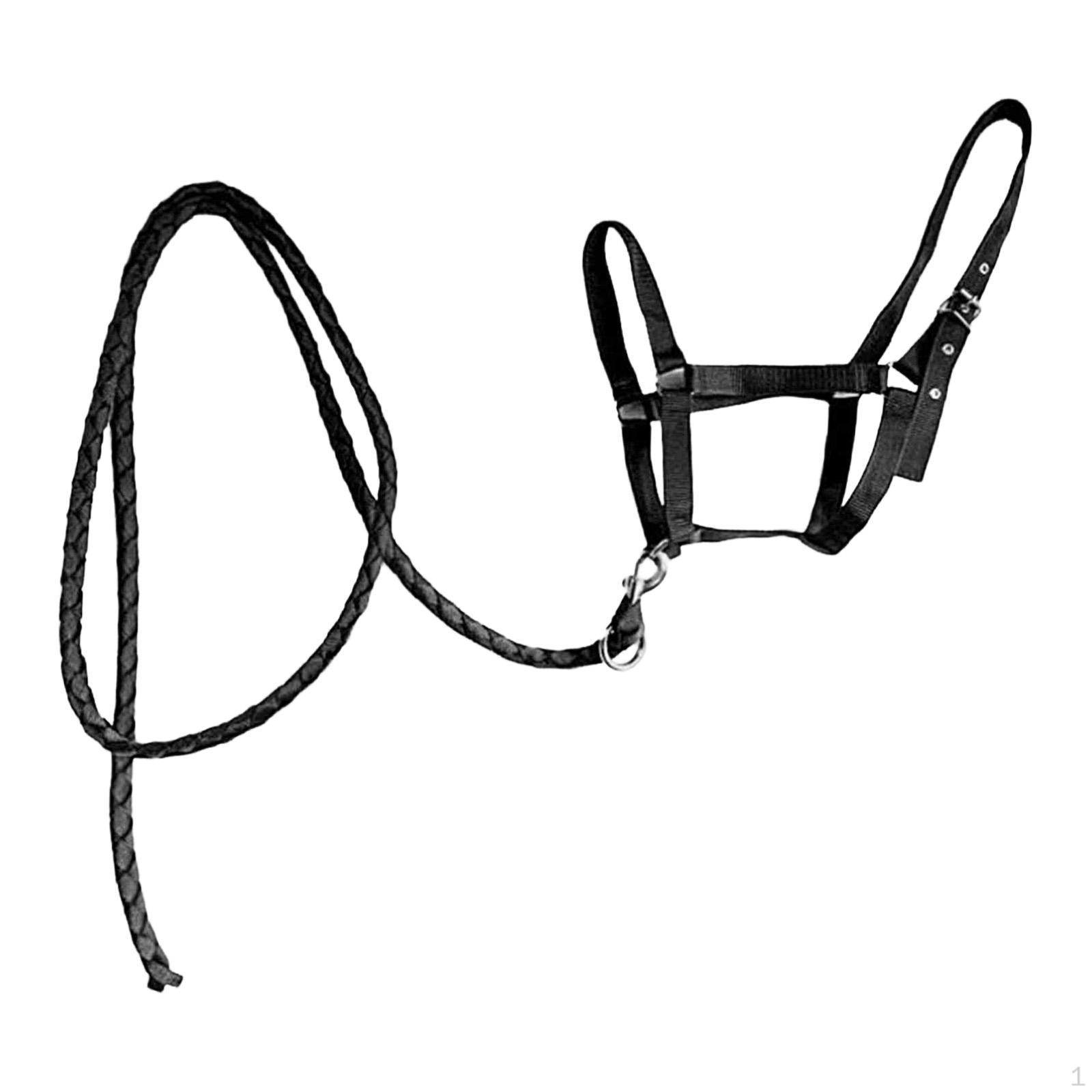 

Halter Rope with Reins, Riding Accessories, Headstall, Horse Harness for Equestrian Sports чорний
