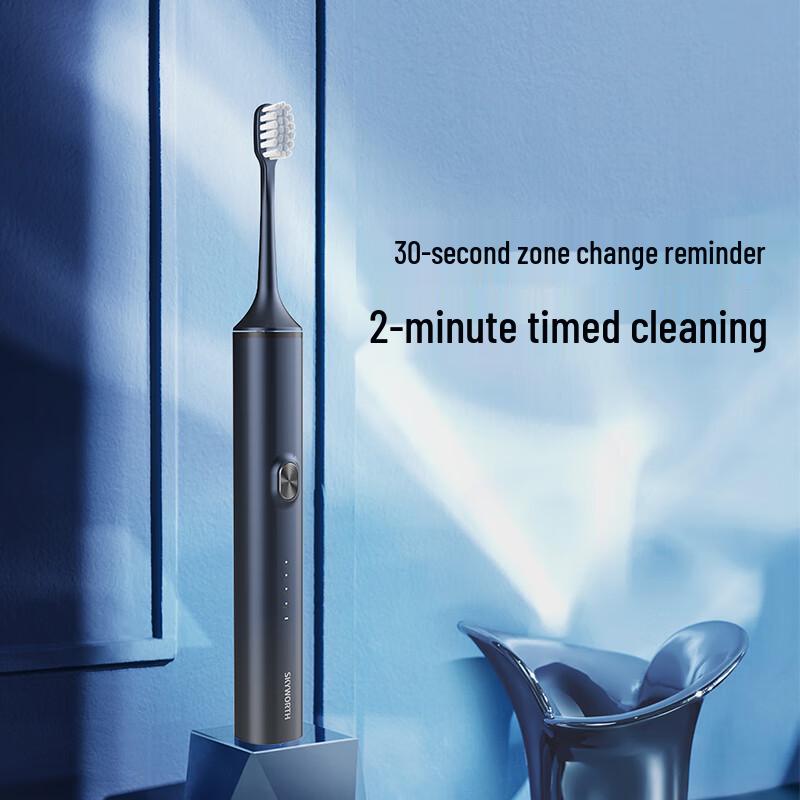 Skyworth P16 Sonic Electric Toothbrush for Adults