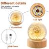 Crystal Ball Night Lights 3D Dandelion Luminous Table Lamp Bedroom Home Decor for Kids Party Children Birthday Gifts Flower Lamp