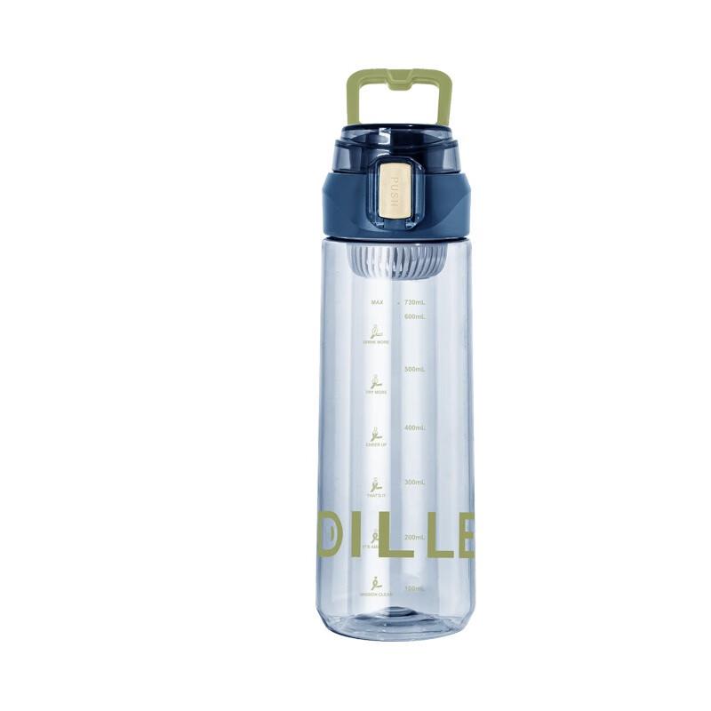 Diller Portable Insulated Water Bottle with Tea Infuser