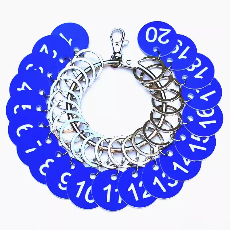 

Large Multi-Hook Keychain with Label Tag for Key Management