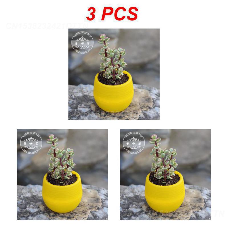 1/2/3PCS Plastic Flowerpot Small Green Plant Flowerpot Plant Desktop Potted Solid Color Mud Holder 2025 Succulent Plant Pot