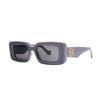 Loewe Logo Pattern Acetate Irregular Shape Sunglasses Women sunglasses Purple LW40101I81A