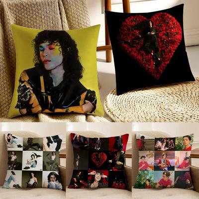 Sänger CConan GGray Found Heaven Kissenbezug Kissenbezug Milbenschutz Wohnzimmer Sofa Dekor Kissen Zimmer