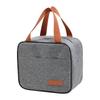Square Insulated Lunch Bag with Handle Large Capacity Thermal Lunch Box Tote for Work School Outdoor Use Durable Material