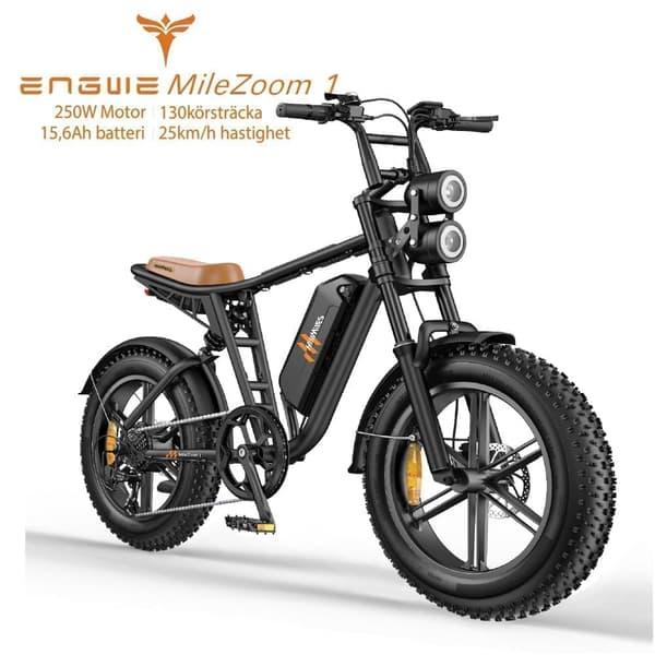 Electric bike HillMiles MileZoom 1, Motor 52V 250W, 20*4.0 inch tires,Black