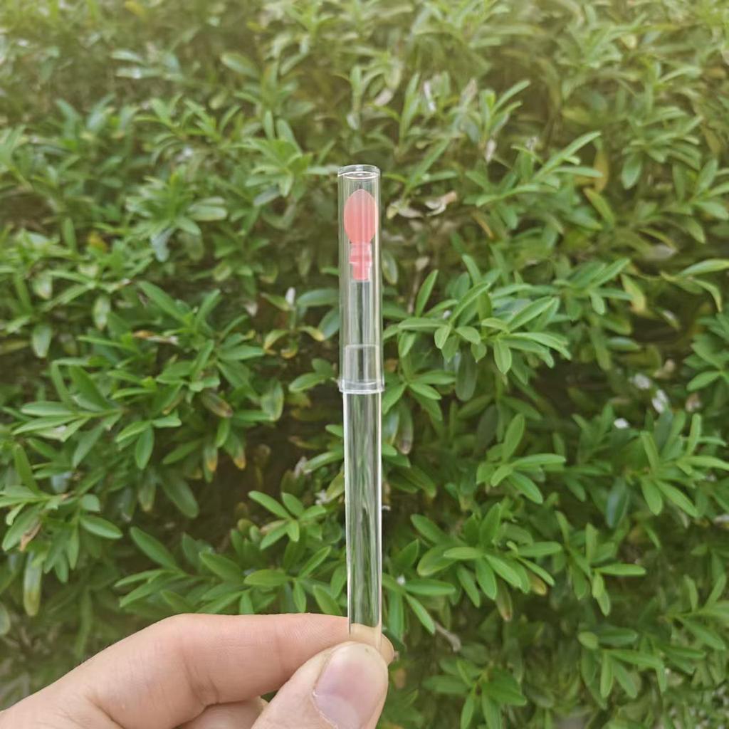 TikTok Portable Silicone Lip Brush with Lid - Lipstick, Lip Gloss, Lip Balm Blending Tool