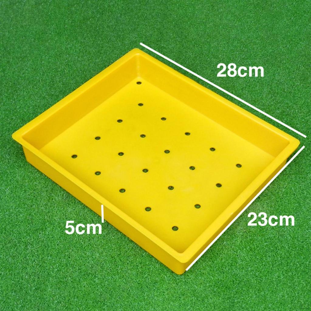 Golf Ball Tray Driving Range Golfball Container Organizer Baskets Hold 30 Balls Golfing Indoor Use