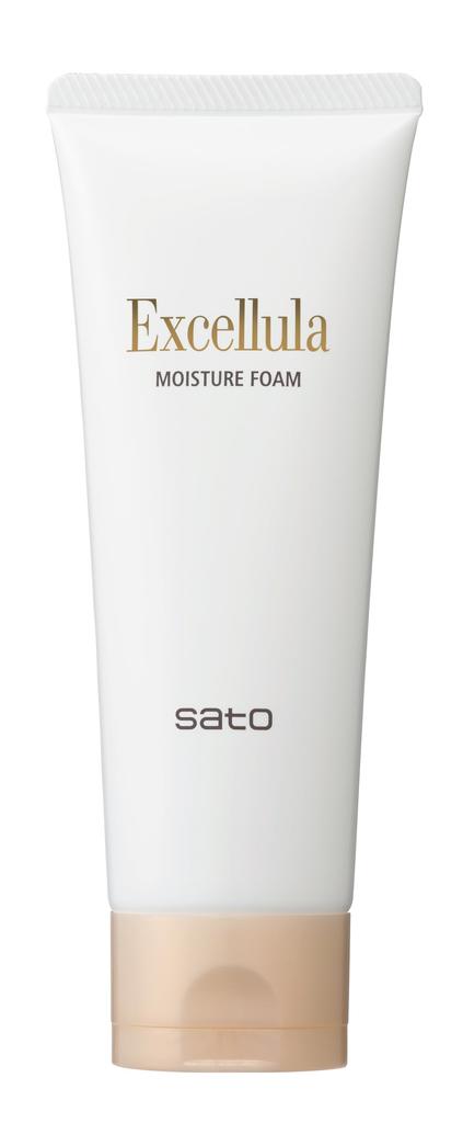 Sato Pharmaceutical Excella Moisture Foam 120g Creamy (Pore Care/Dense Foam)