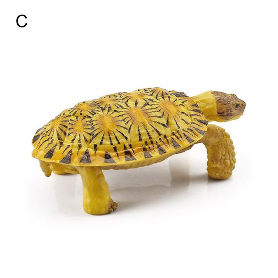 Sulcata Tortoise Mold Vivid Clear Texture 3D Effect Sea Ocean Life Simulation Animal Model for Kids