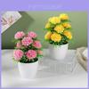 Artificial Flower Pot With 12 Ball Chrysanthemum For Home Decor And Gift