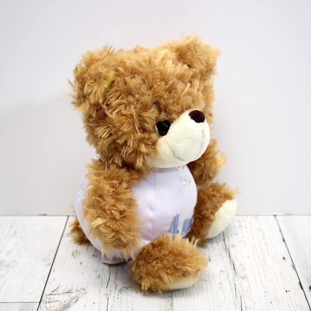 Take Off Plush Toy BEAR'S365 April Brown
