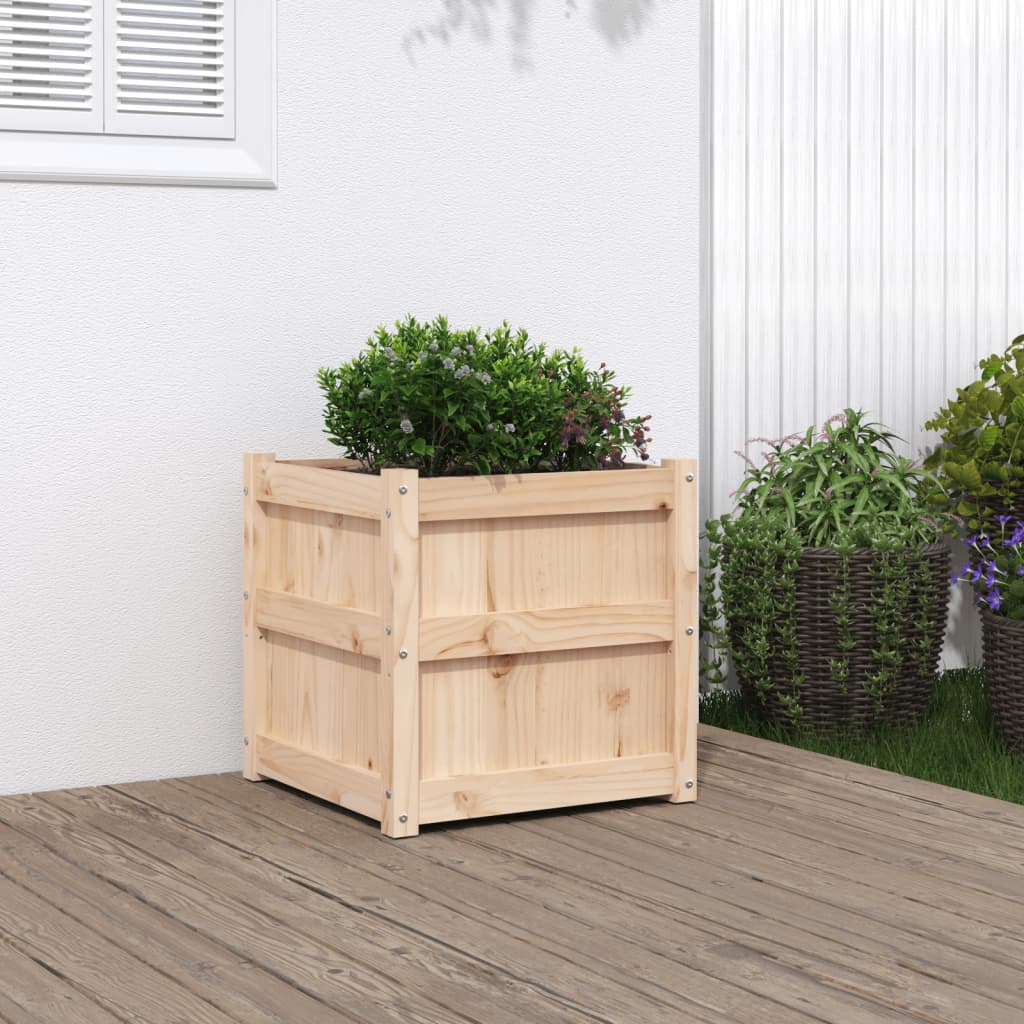 Plant Pot 50x50x50 Cm Solid Pine Wood