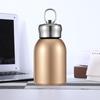 Tragbare Edelstahl-Wasserflasche 300ml Auslaufsicher Mini Thermoskanne für Heiß-/Kaltgetränke, Reisen, Camping, Wandern