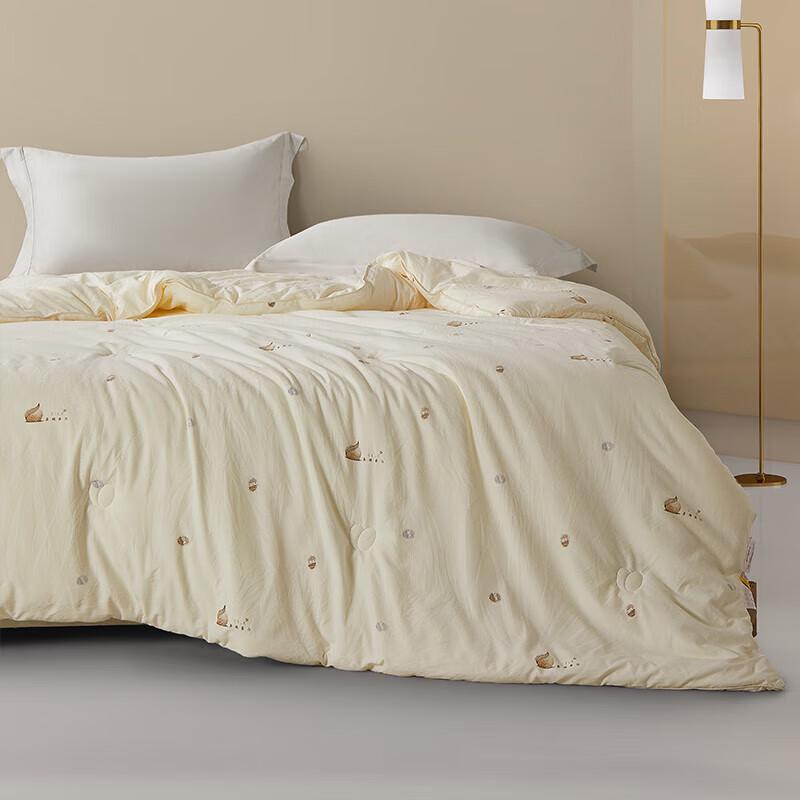 Tangna Silkworm Protein Four Seasons Quilt