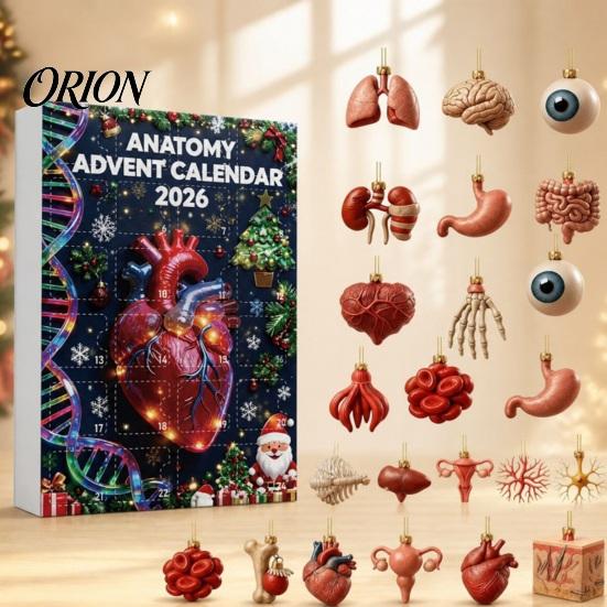 Kreativní vědecká dekorace 2026 Anatomický adventní kalendář, 24denní sada ozdob na tělesné orgány, Realistické lidské anatomické dekorace k zavěšení na Vánoce