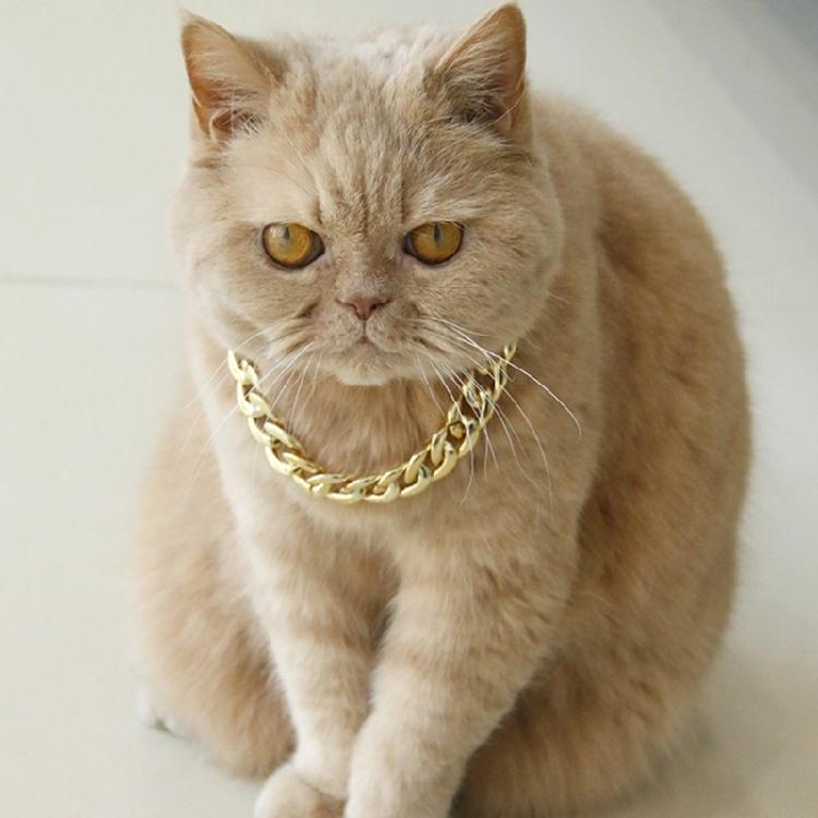 Shimmering Gold Chain Pet Collar Fashion Jewelry Accessory For Puppies Kittens Pet Photography Theme Event Dressingup