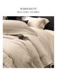 Autumn and Winter Light Luxury Cotton Thickened Warm Double Sided Brushed Four Piece Set - Fret