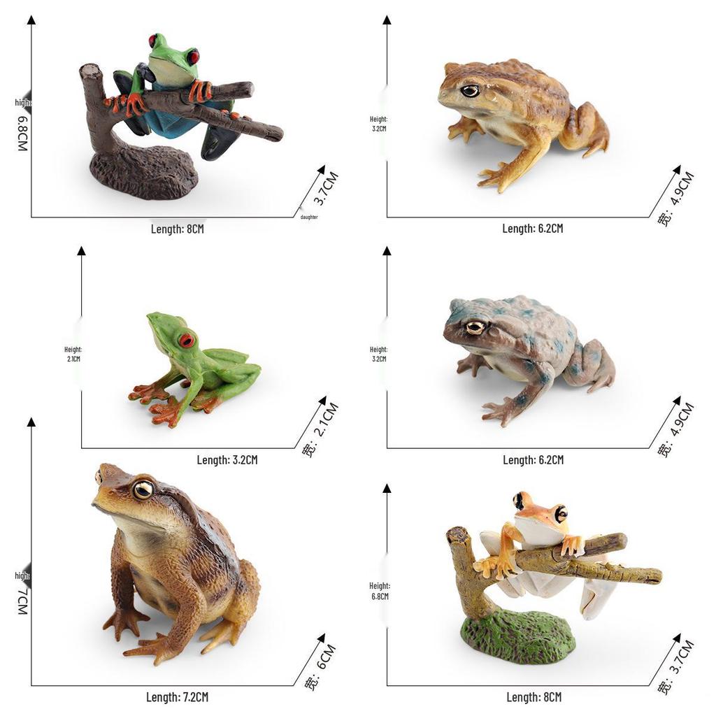 Cross-border Children's Frog and Toad Cognitive Figurine Toy