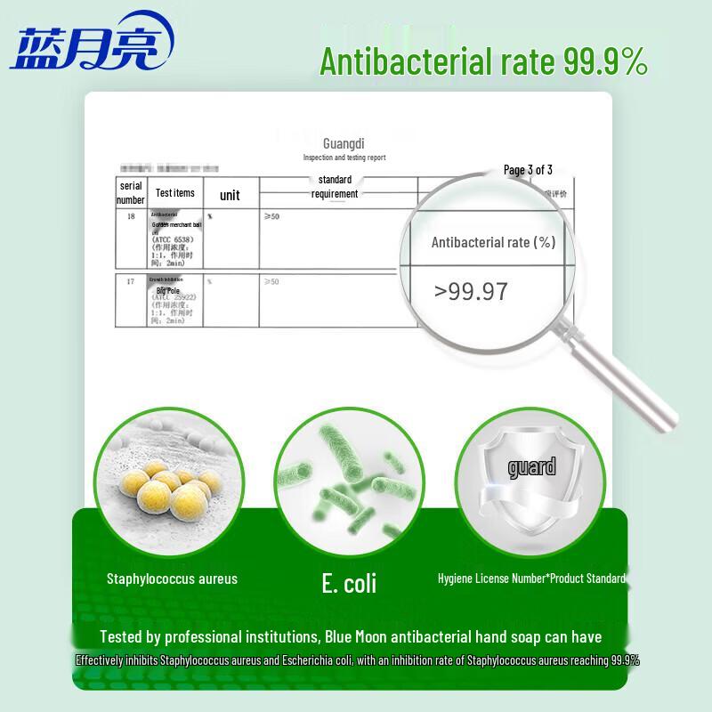 Blue Moon Aloe Antibacterial Hand Wash