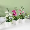 Pot Phalaenopsis Square Potted Artificial Flower Wedding Decoration Bonsai Gift