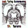 Музыкальные альбомы – CD-записи