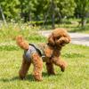 Breathable Mesh Dog Menstrual Panties Leak-Proof Dogs Diaper Dog Sanitary Panties  All-Season