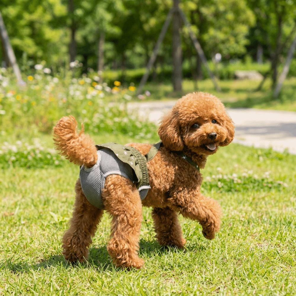 Breathable Mesh Dog Menstrual Panties Leak-Proof Dogs Diaper Dog Sanitary Panties All-Season