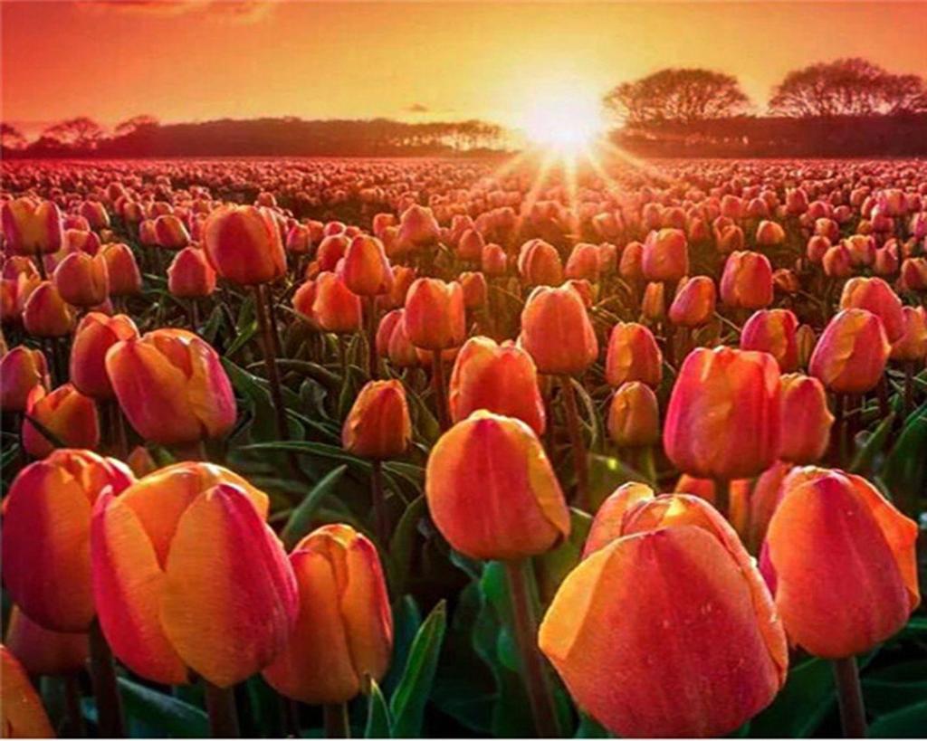 RUOPOTY DIY Frame Oil Painting By Numbers Tulip Flower Home Decor Acrylic Home Decor On Canvas Wall Art Picture For Living Room