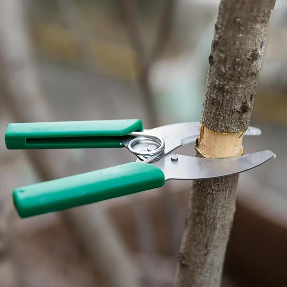 Grafting Cutting Shear Fruit Tree Stripping Cutting Grafting Scissors Ring Peeling Girdling Knife Garden Orchard Pruning Tool