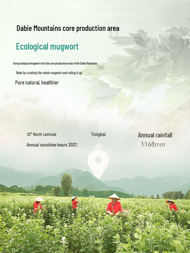 Mugwort Mosquito Repellent Sticks - Incense for Indoor/Outdoor Use Against Mosquitoes and Insects