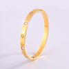 Starry Sky Silver Titanium Steel Bracelet for Women - High-End, Versatile, Full Diamond, Non-Fading Fashion Accessory