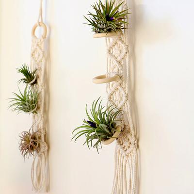 1Pcs Quasten Pflanzen Aufhänger Macrame Air Hängen Air Ananas Halter Wand Anlage Korb Boho