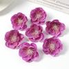 10/20/50Pcs 4cm Silk Plum Blossom Heads Artificial Cherry Blossom Flowers for Home Room Wedding Decor DIY Flowers Wall Accessory