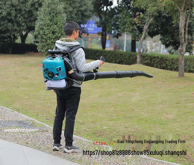 High-Power Four-Stroke Backpack Gasoline Leaf Blower and Fire Extinguisher